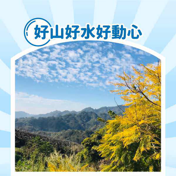 LINE 廣告單張圖像設計